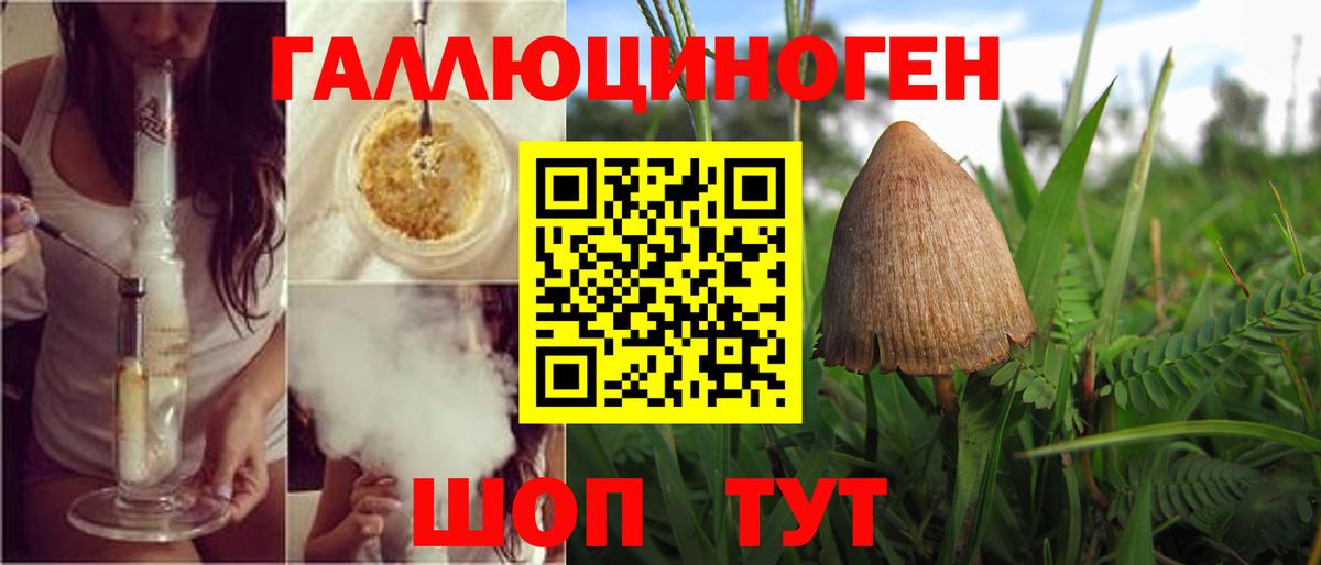 Галлюциногенные грибы Magic Shrooms  Вход с VPN  Псилоцибиновые грибы Magic Shrooms  Ступино 